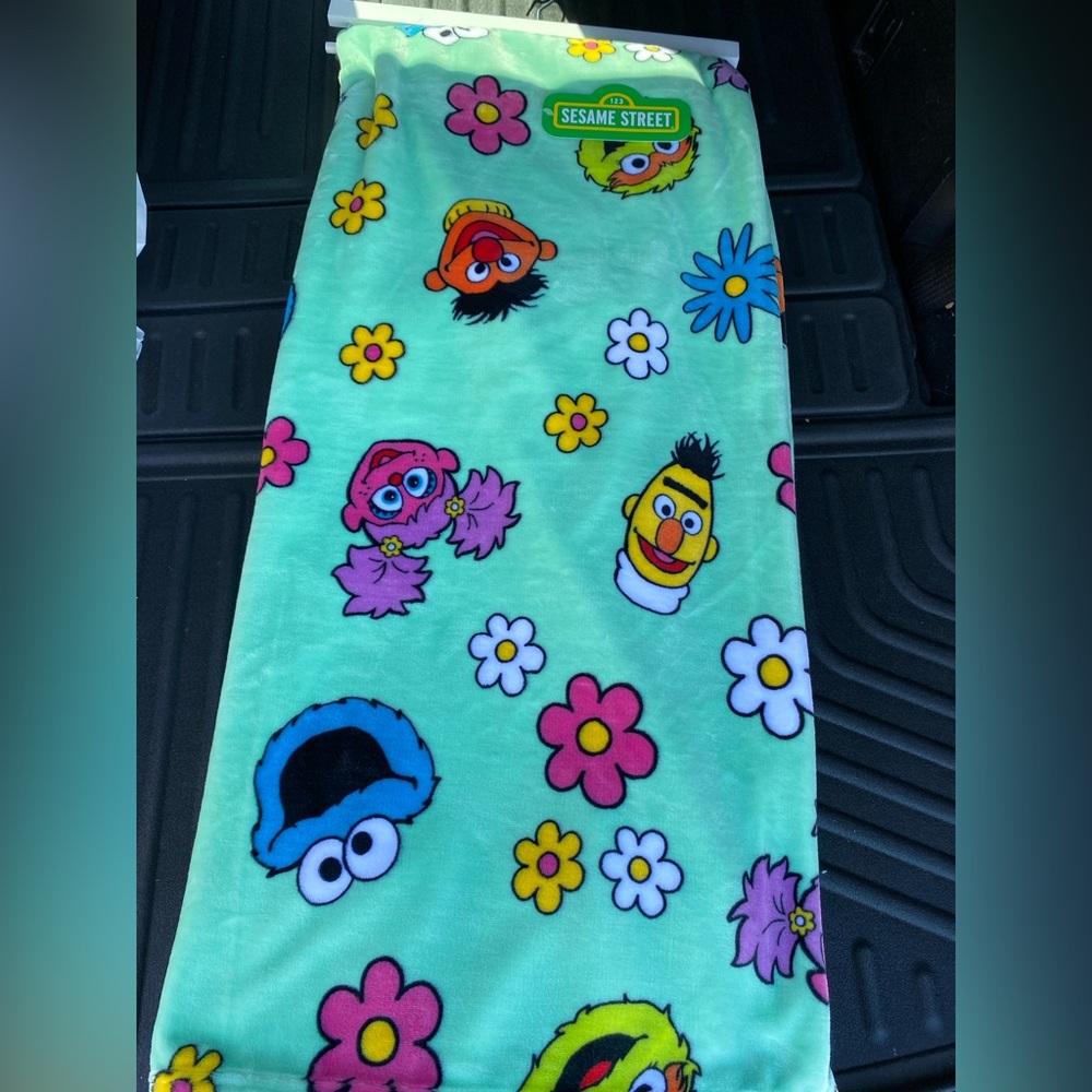 Sesame Street oversize plush throw -incredibly soft!  Brand new 60”x70” LAST ONE